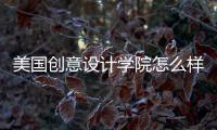 美国创意设计学院怎么样？