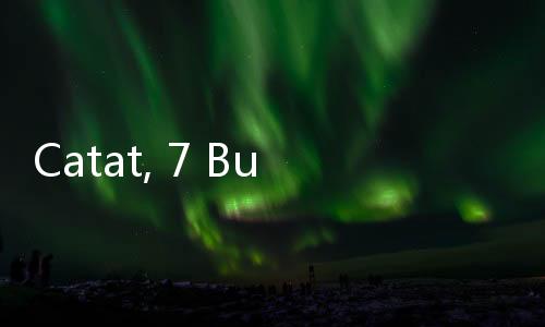 Catat, 7 Buah Terbaik untuk Bantu Menurunkan Berat Badan