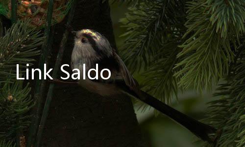 Link Saldo DANA Kaget Ratusan Ribu di Hari Kebangkitan Nasional 20 Mei: Siapa Cepat, Dia Dapat!